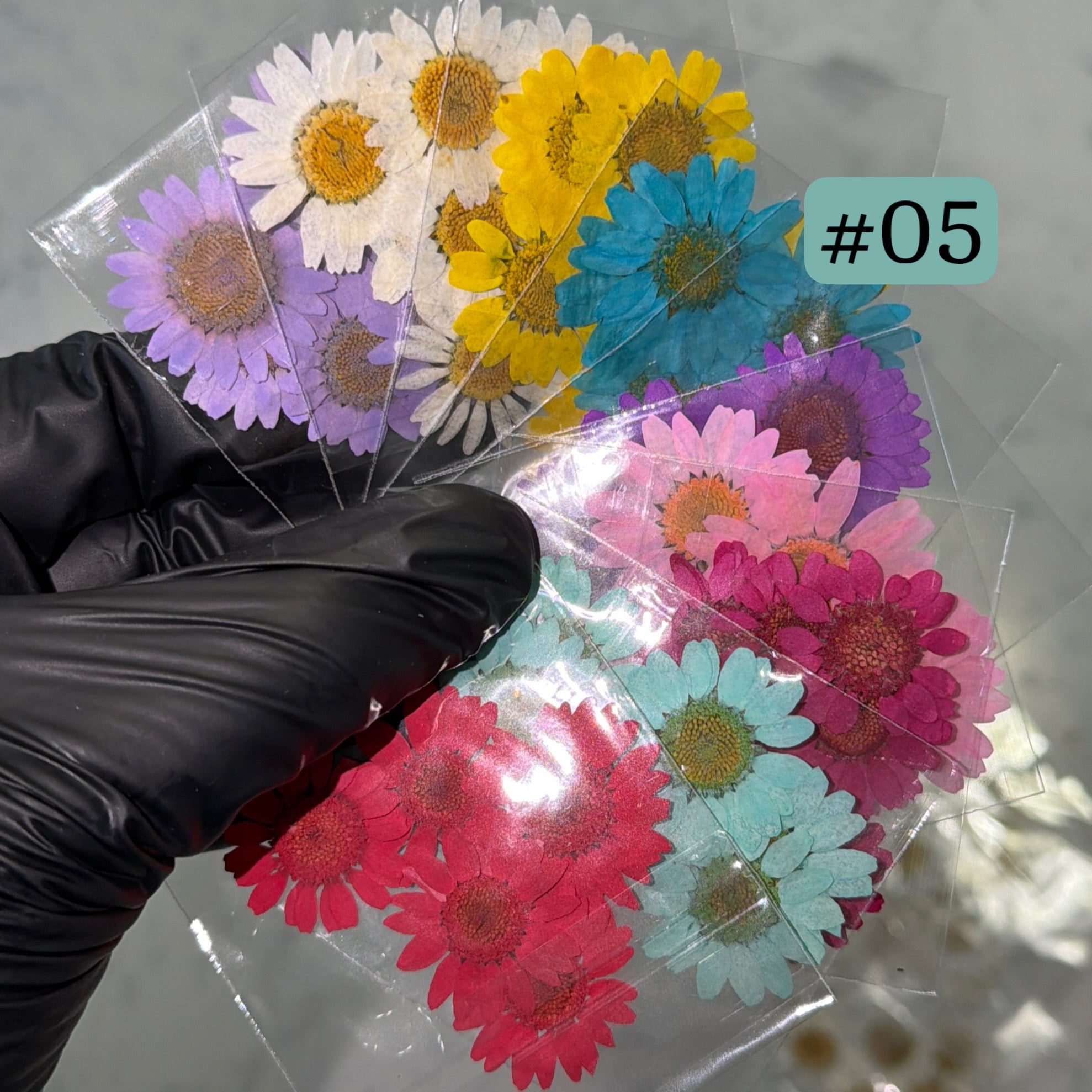 Paquete de 24 flores secas