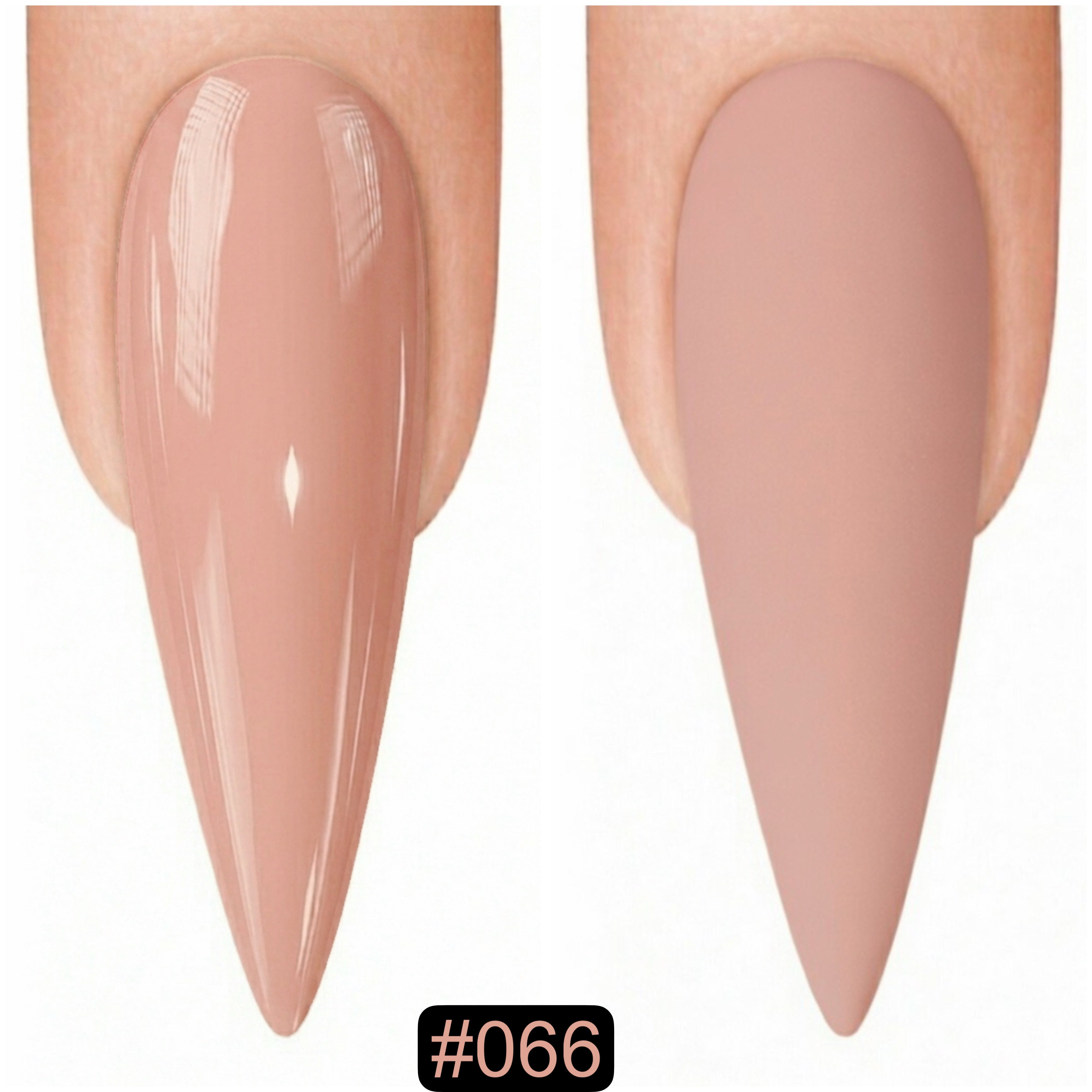 Riya's Gel #066