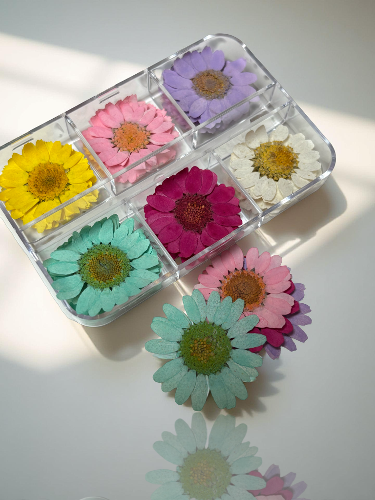Flores secas prensadas 3