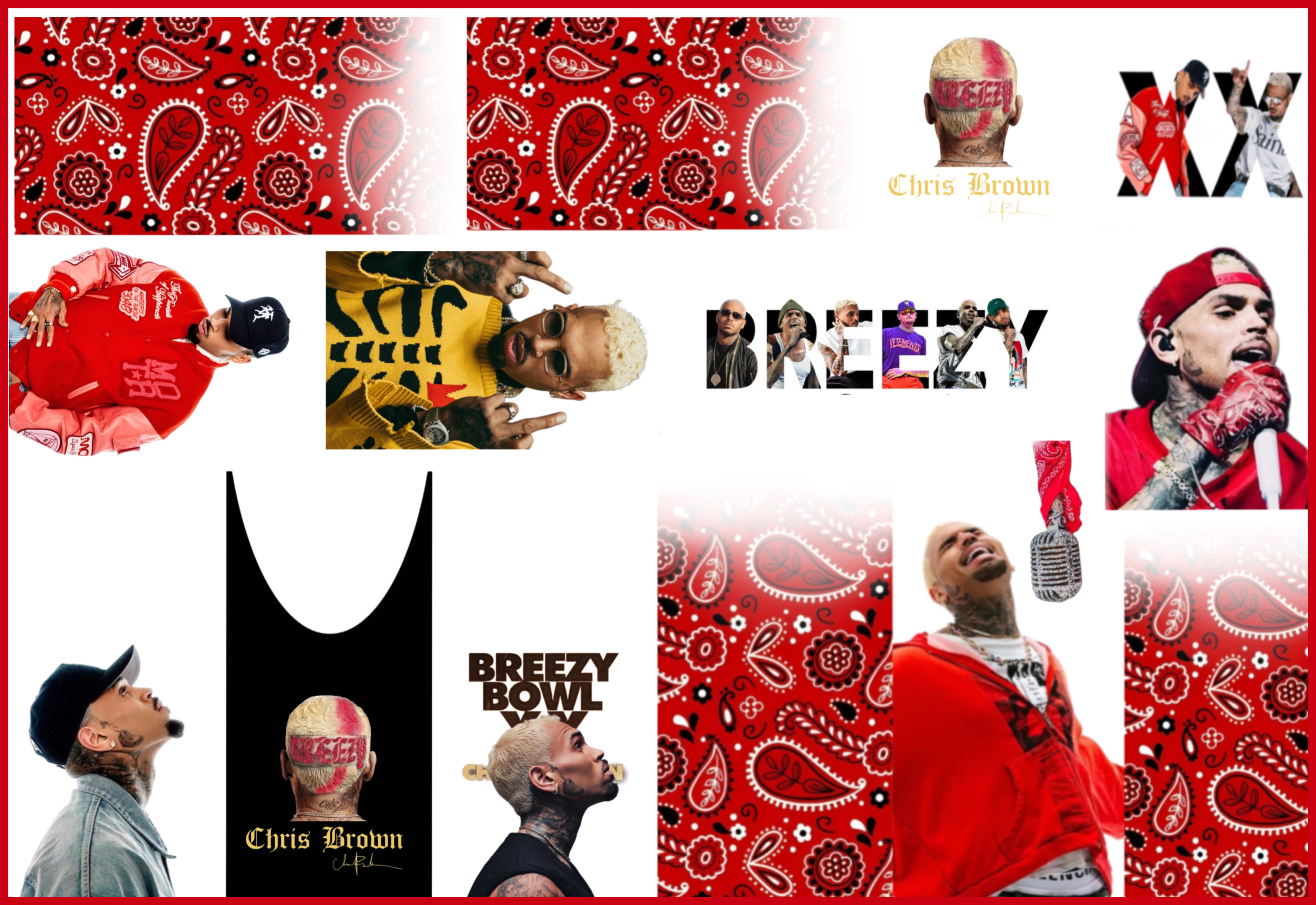 Chris Brown #Breezy - Premium Decal